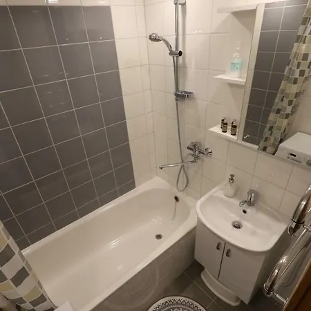Sunny & Spacious 2 Bedroom Κάουνας